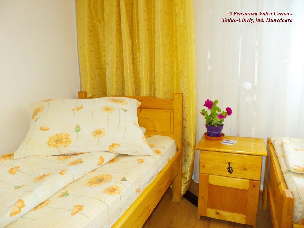 Pensiunea Valea Cernei Teliucu Inferior Pokoj fotografie