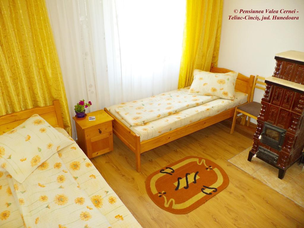 Pensiunea Valea Cernei Teliucu Inferior Pokoj fotografie