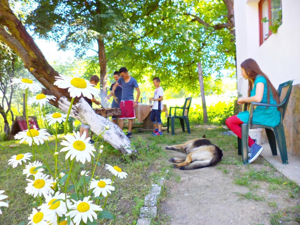 Pensiunea Valea Cernei Teliucu Inferior Exteriér fotografie