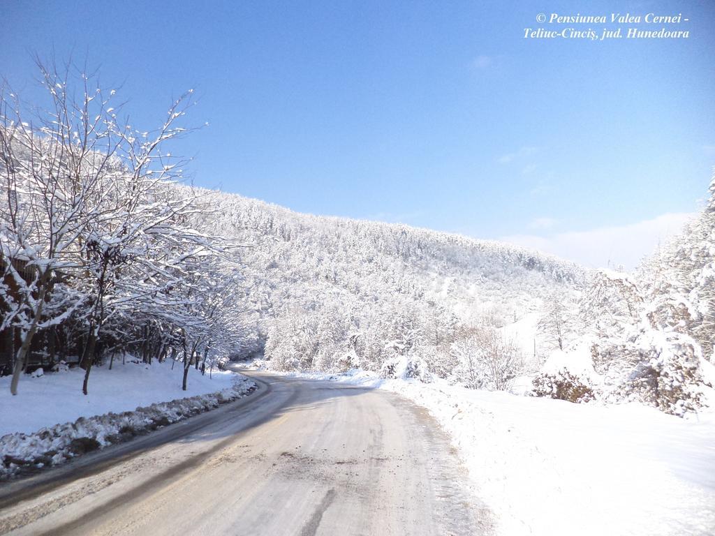Pensiunea Valea Cernei Teliucu Inferior Exteriér fotografie