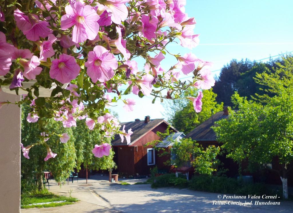 Pensiunea Valea Cernei Teliucu Inferior Exteriér fotografie