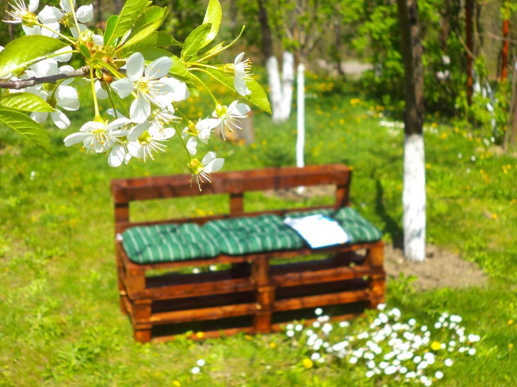 Pensiunea Valea Cernei Teliucu Inferior Exteriér fotografie